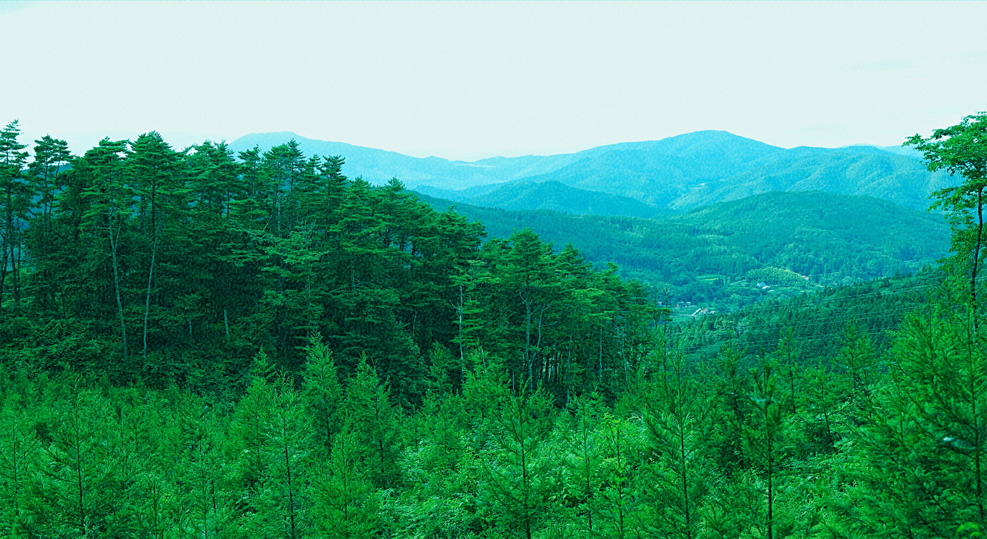 働きながらステップアップする多彩な研修講座｜みやぎ森林・林業未来創造カレッジ