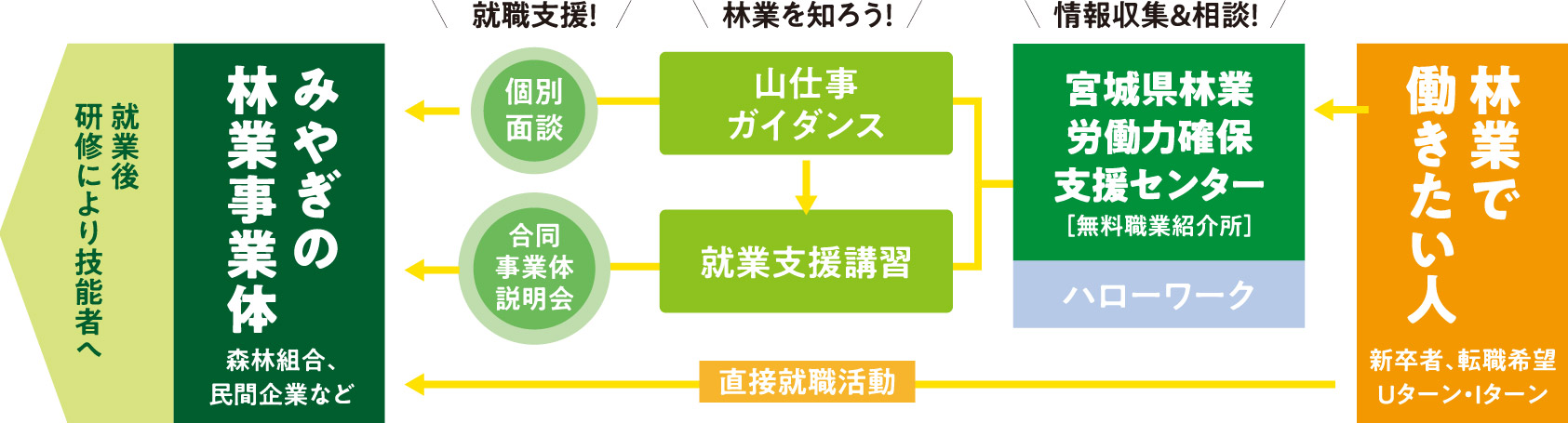林業で働きたい人